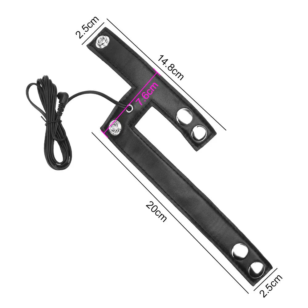 Electro Shock Penis Ring & Urethral Stimulator